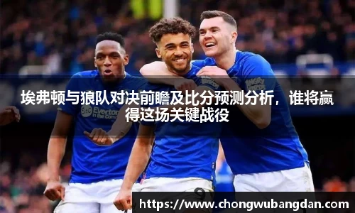 埃弗顿与狼队对决前瞻及比分预测分析，谁将赢得这场关键战役