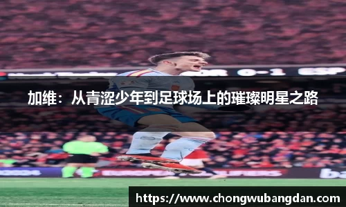 加维：从青涩少年到足球场上的璀璨明星之路