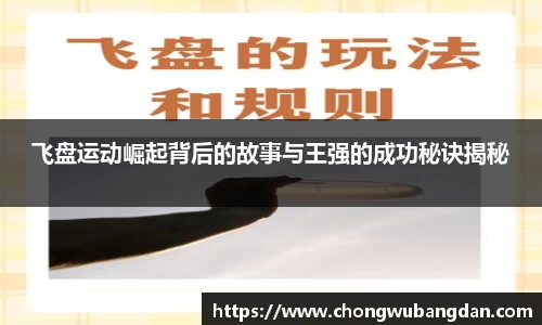 飞盘运动崛起背后的故事与王强的成功秘诀揭秘