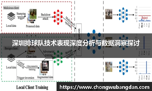 深圳排球队技术表现深度分析与数据洞察探讨